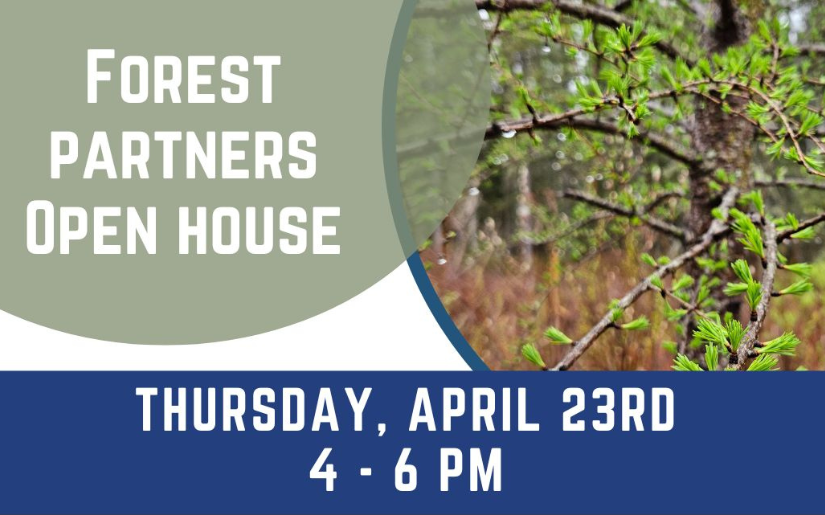 Forest Partners Open House